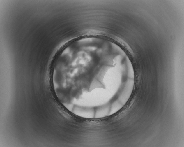 X0000111821027200909031446