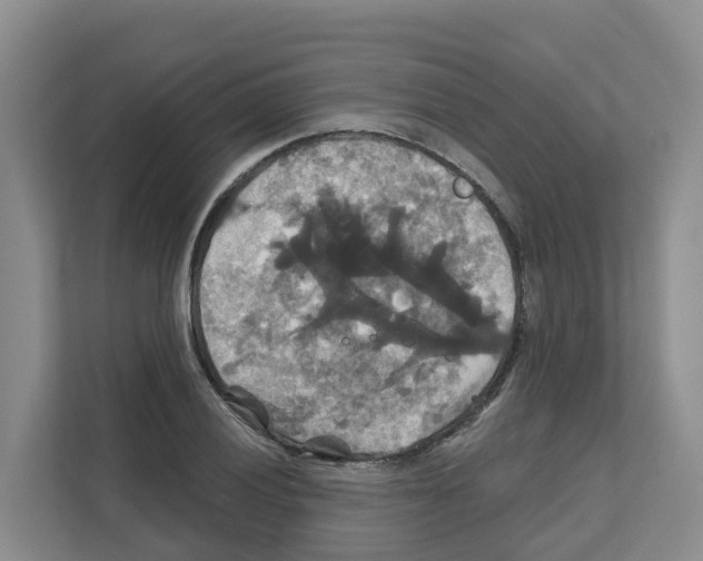 X0000111821028200909031446
