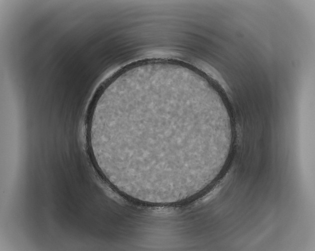 X0000111821029200909031446