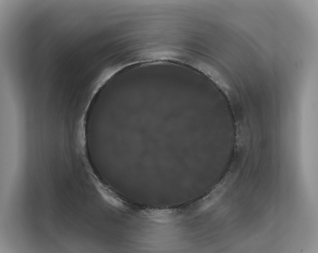 X0000111821031200909031446
