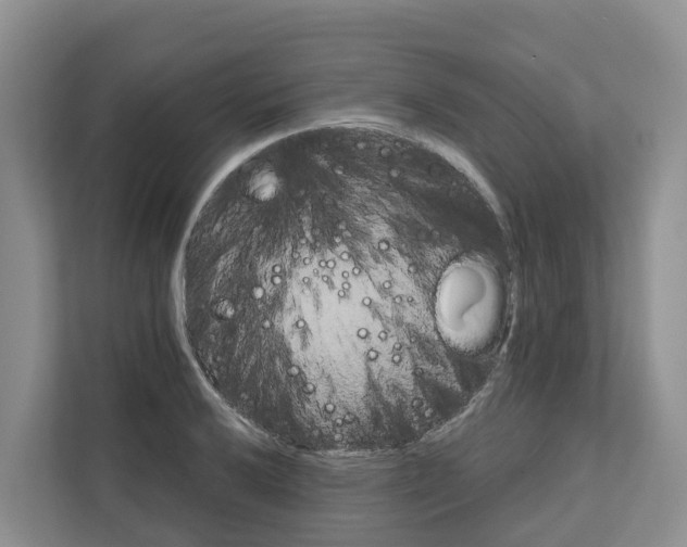 X0000111821032200909031446