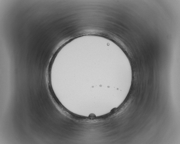 X0000111821034200909031446