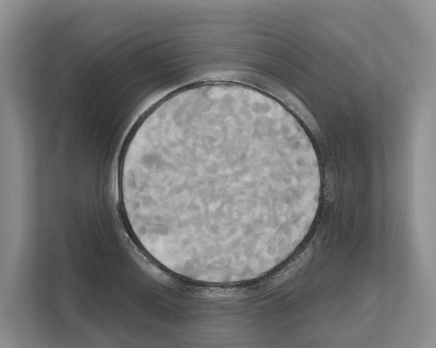 X0000111821036200909031446