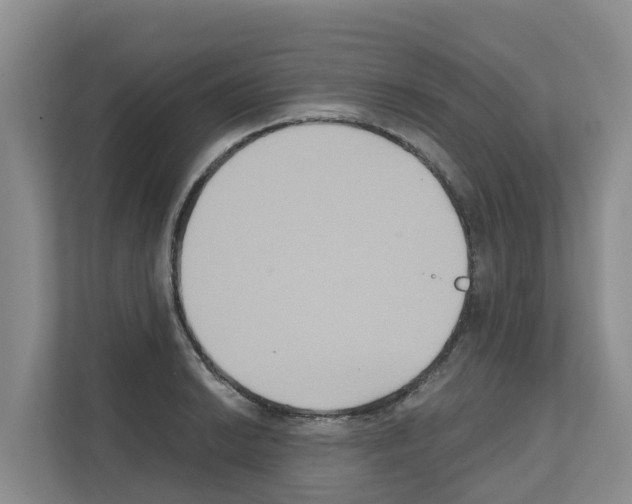 X0000111821038200909031446