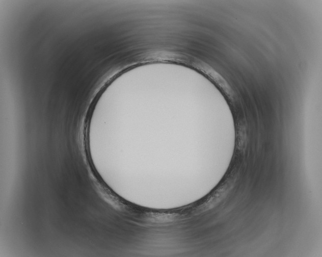 X0000111821039200909031446