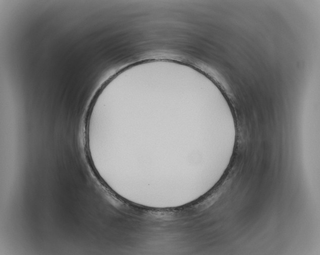 X0000111821040200909031446