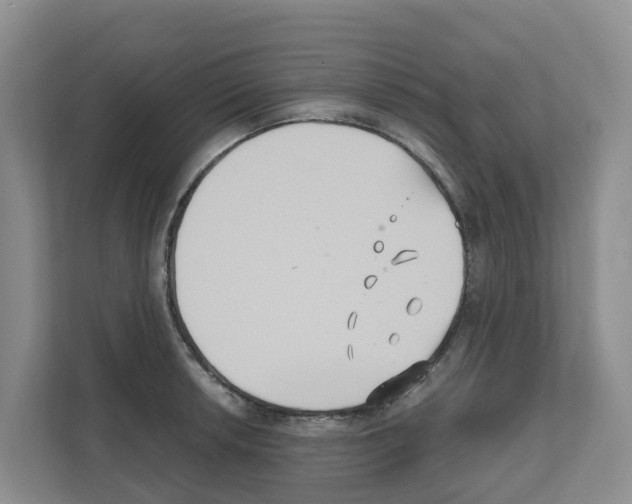 X0000111821042200909031446