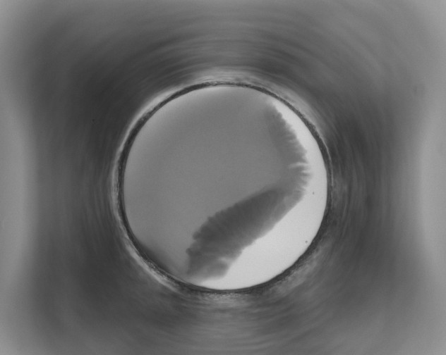 X0000111821045200909031446