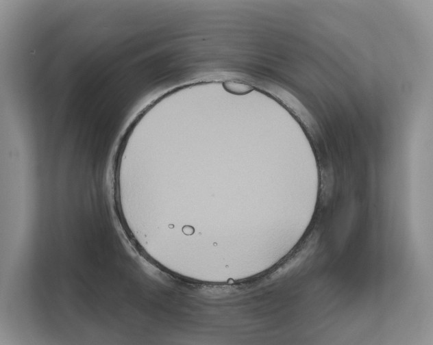 X0000111821046200909031446