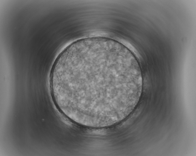 X0000111821047200909031446