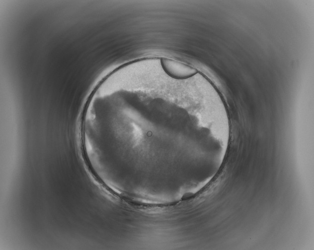 X0000111821048200909031446