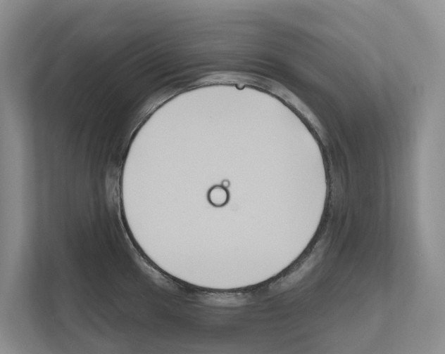 X0000111821049200909031446
