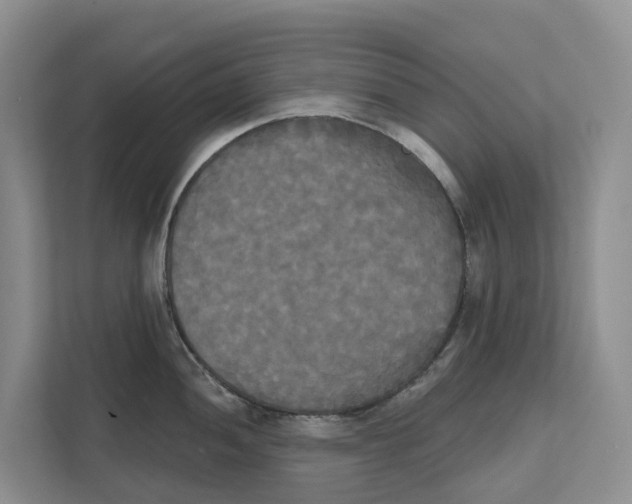 X0000111821052200909031446