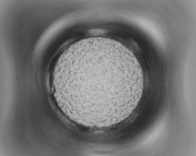 X0000111821054200909031446