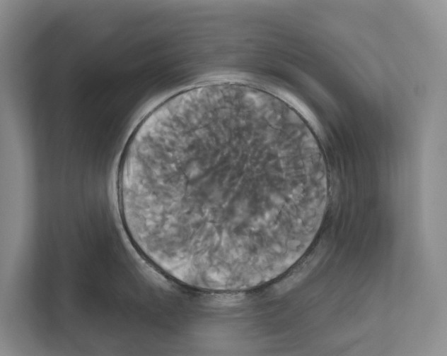X0000111821055200909031447