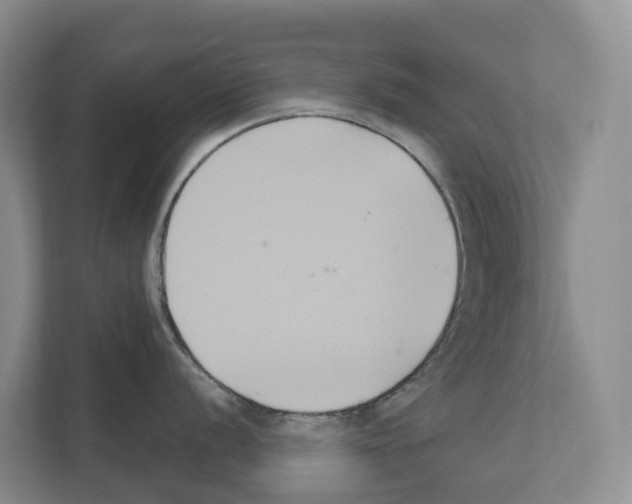 X0000111821056200909031447