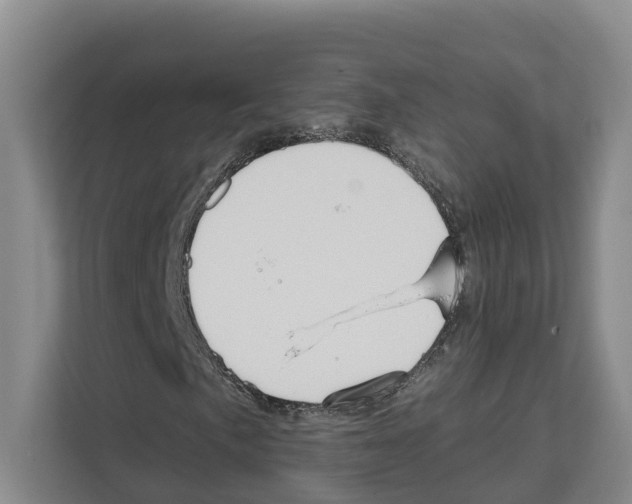 X0000111821057200909031446