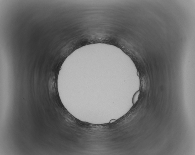X0000111821059200909031446