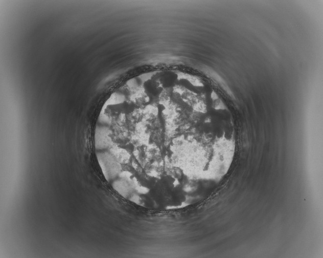 X0000111821063200909031446