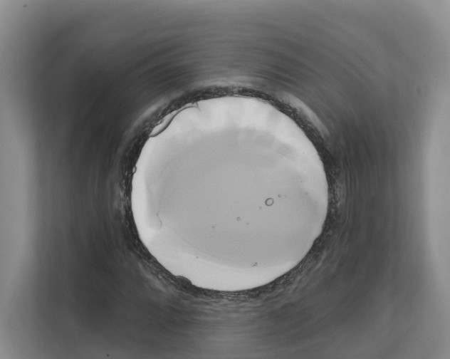 X0000111821064200909031446
