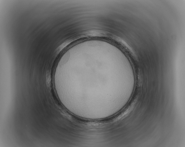 X0000111821065200909031446