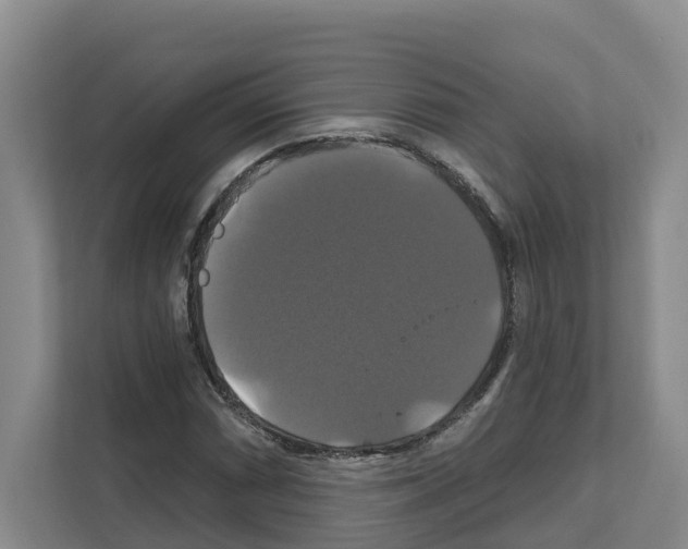 X0000111821066200909031446