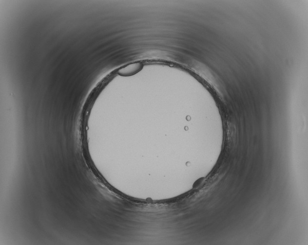 X0000111821068200909031446
