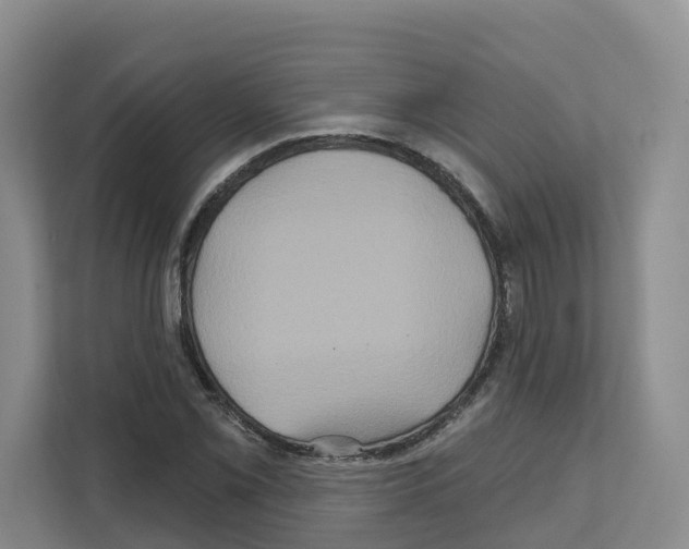 X0000111821069200909031446