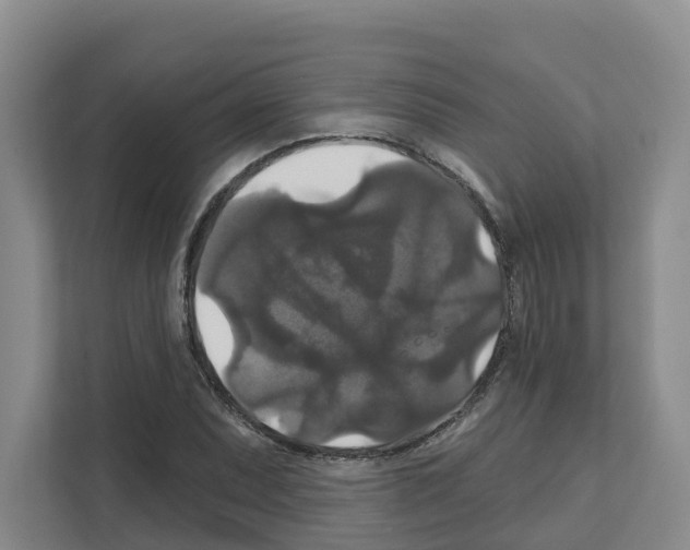 X0000111821071200909031446