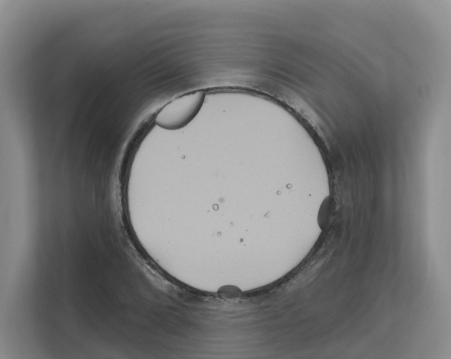 X0000111821072200909031446