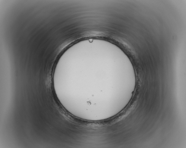 X0000111821073200909031446