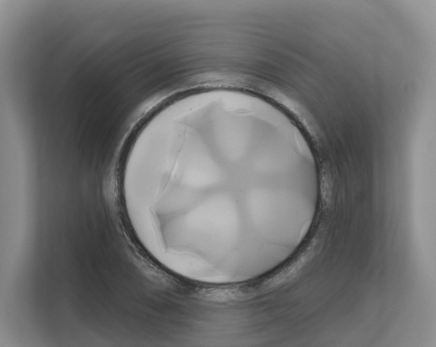 X0000111821074200909031446