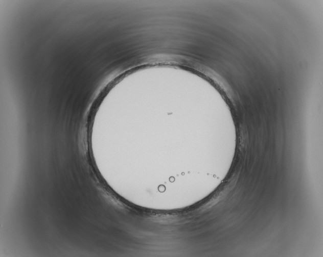 X0000111821075200909031446