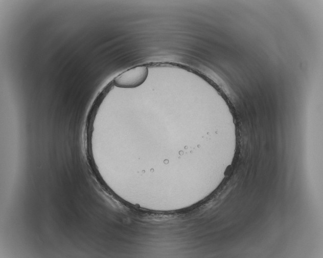 X0000111821076200909031446