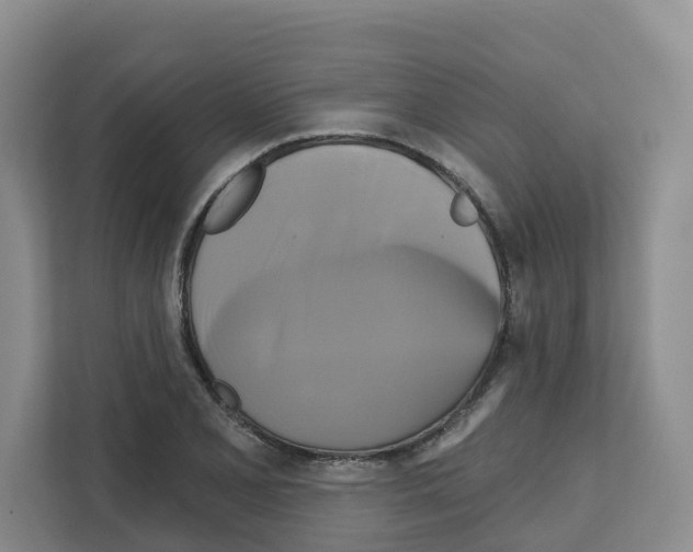 X0000111821077200909031446