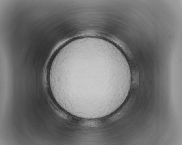 X0000111821078200909031446