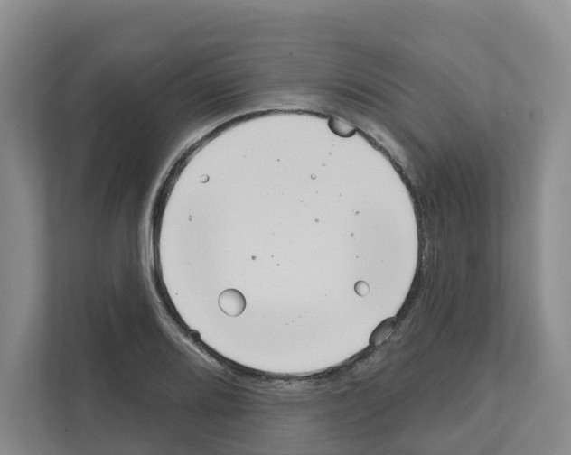 X0000111821080200909031446
