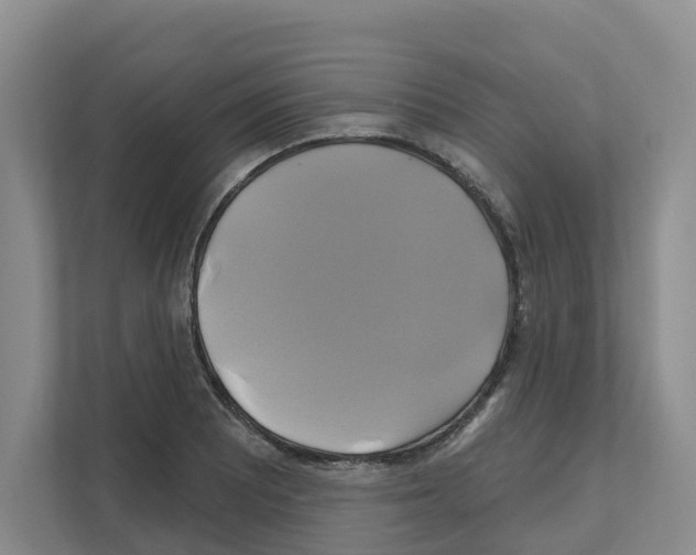 X0000111821081200909031446