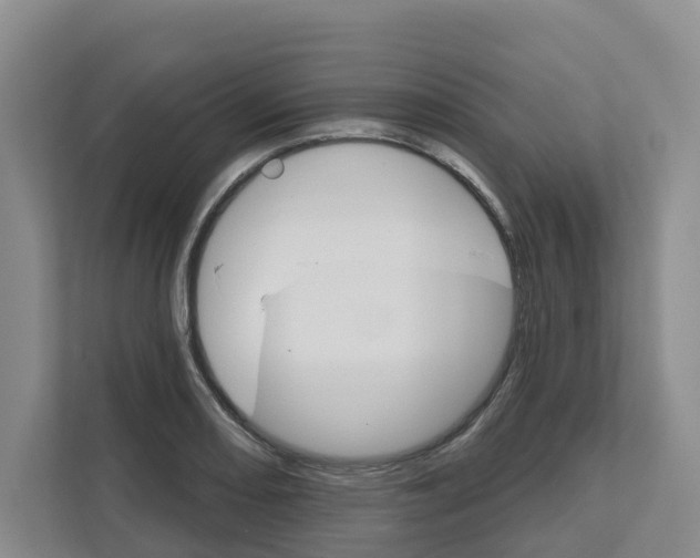 X0000111821082200909031446