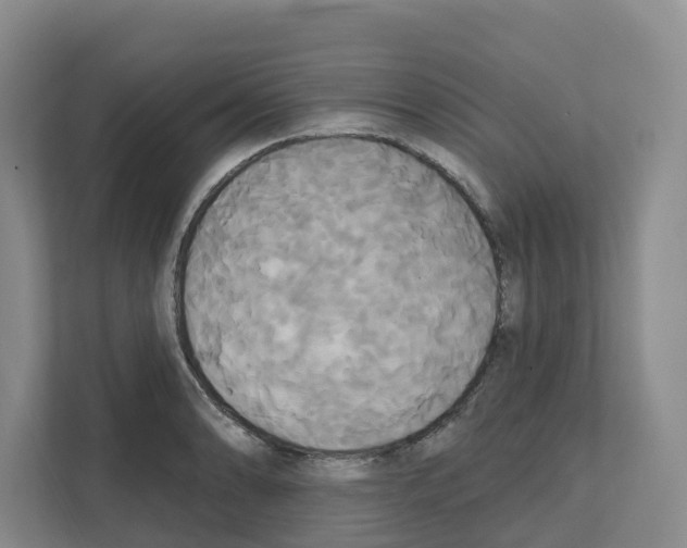 X0000111821086200909031446