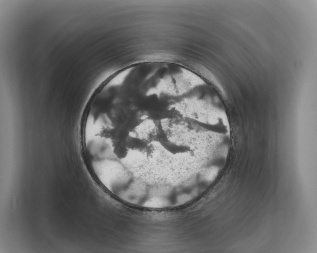 X0000111821087200909031446