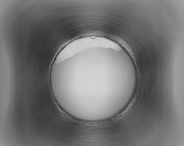 X0000111821089200909031445