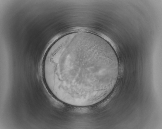 X0000111821090200909031445