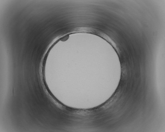 X0000111821091200909031445