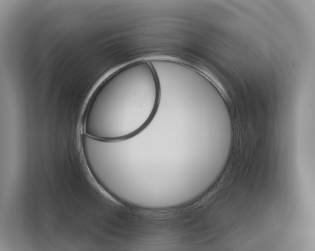 X0000111821092200909031445