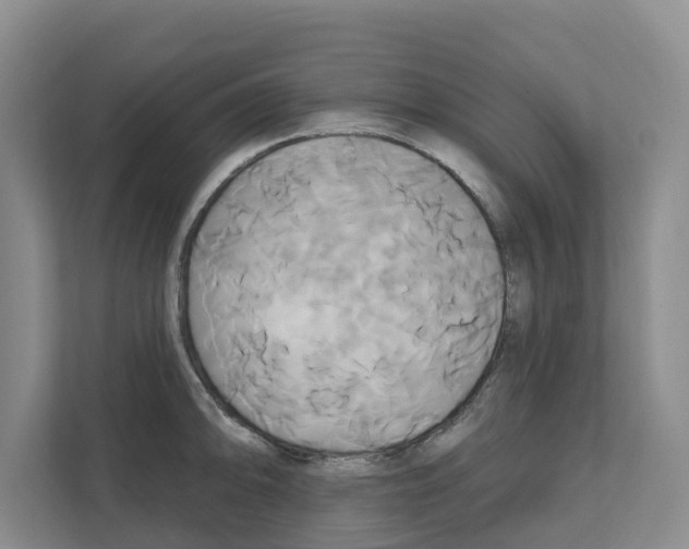 X0000111821094200909031445