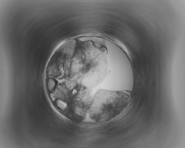 X0000111821095200909031445