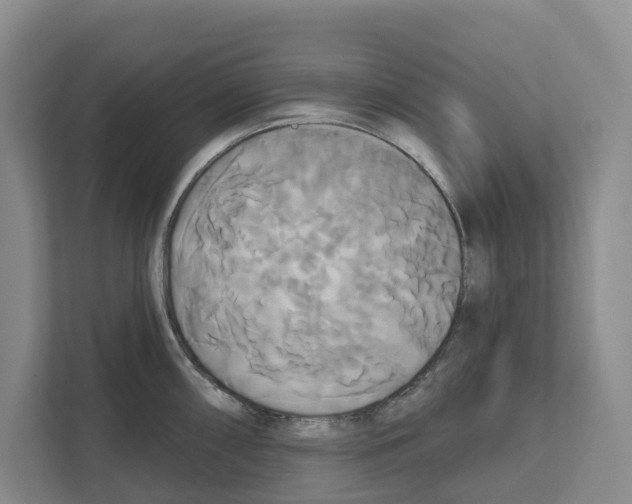 X0000111821098200909031445