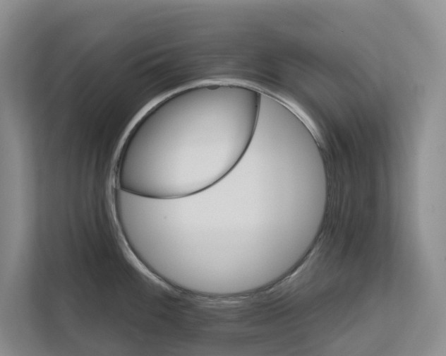 X0000111821100200909031445