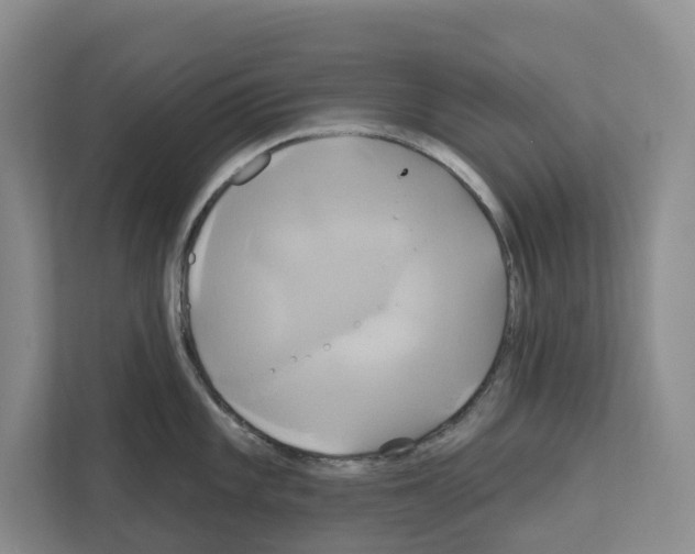 X0000111821101200909031445